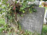 image of grave number 195245